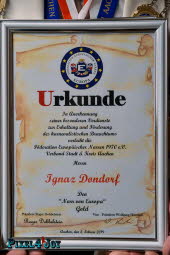 010 51278364_2153268728066093_7290102837680275456_n